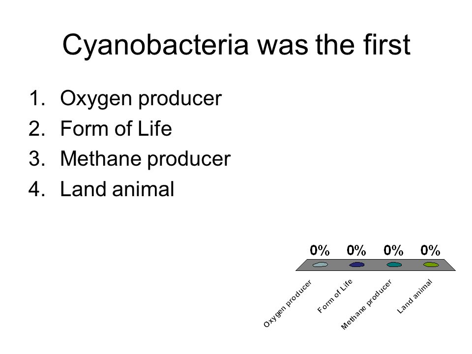 Cyanobacteria was the first 1.Oxygen producer 2.Form of Life 3.Methane producer 4.Land animal