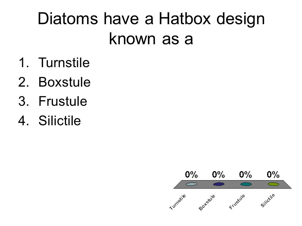 Diatoms have a Hatbox design known as a 1.Turnstile 2.Boxstule 3.Frustule 4.Silictile