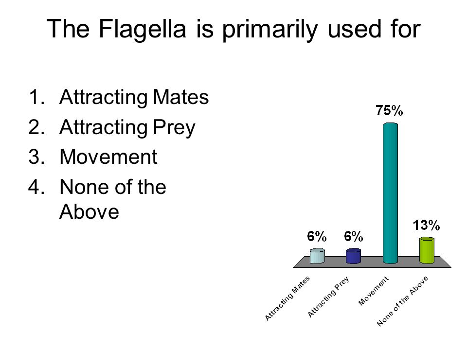 The Flagella is primarily used for 1.Attracting Mates 2.Attracting Prey 3.Movement 4.None of the Above