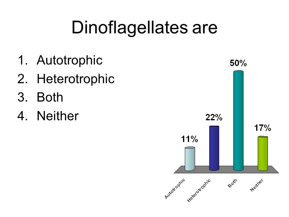 Dinoflagellates are 1.Autotrophic 2.Heterotrophic 3.Both 4.Neither