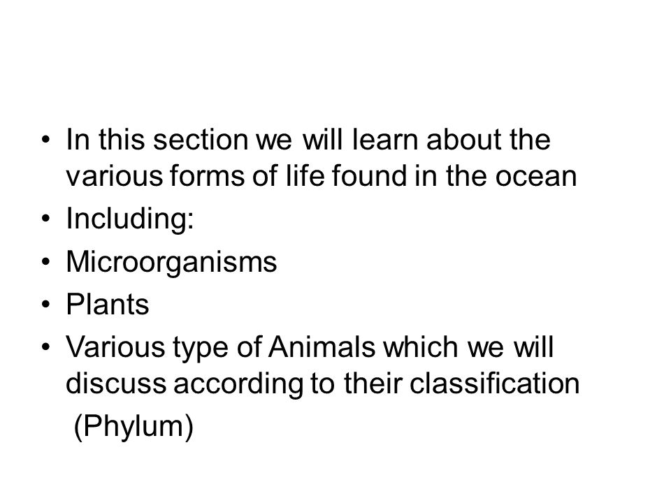 In this section we will learn about the various forms of life found in the ocean Including: Microorganisms Plants Various type of Animals which we will discuss according to their classification (Phylum)