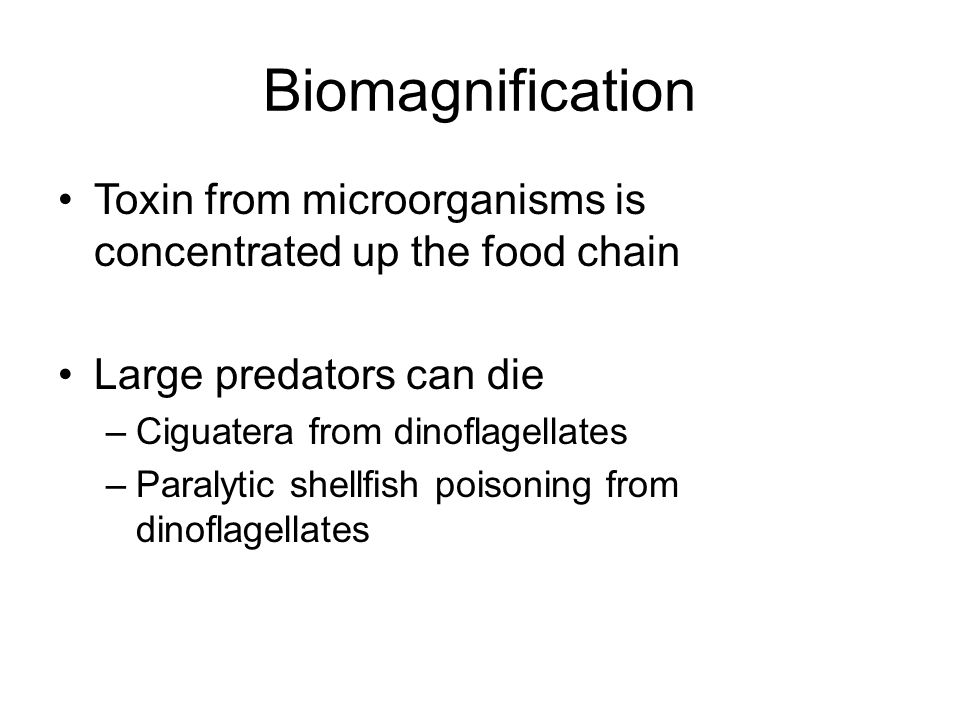 Biomagnification Toxin from microorganisms is concentrated up the food chain Large predators can die –Ciguatera from dinoflagellates –Paralytic shellfish poisoning from dinoflagellates