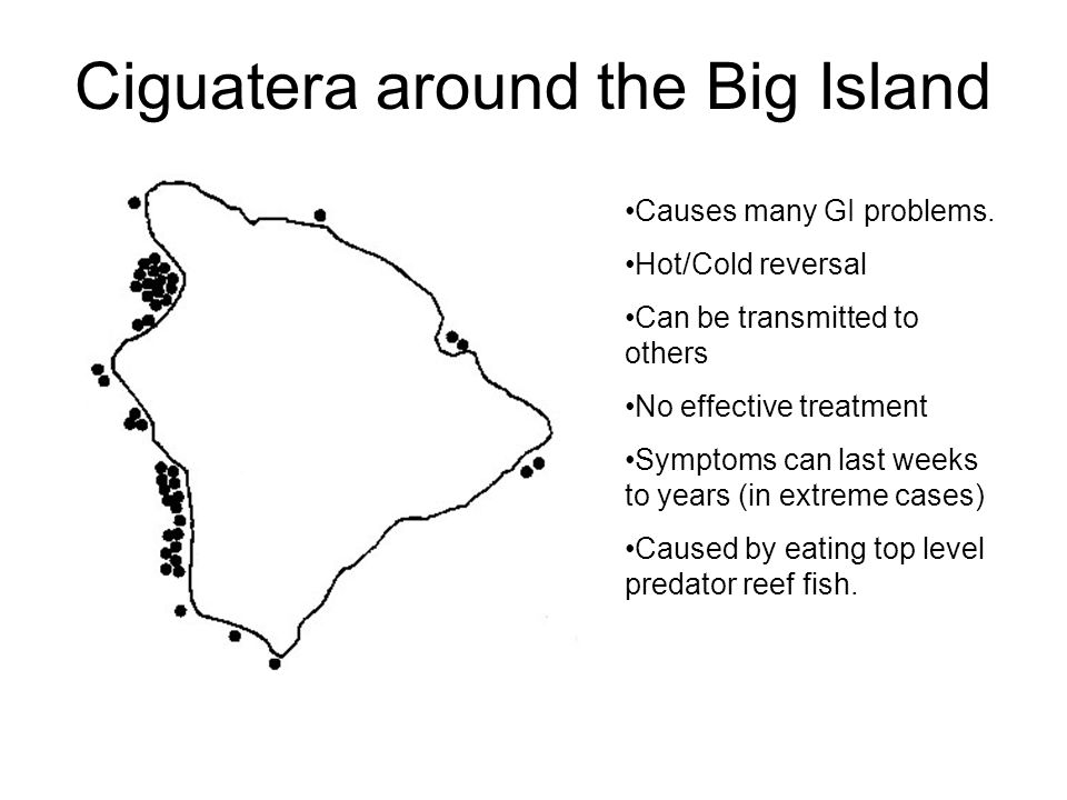 Ciguatera around the Big Island Causes many GI problems.