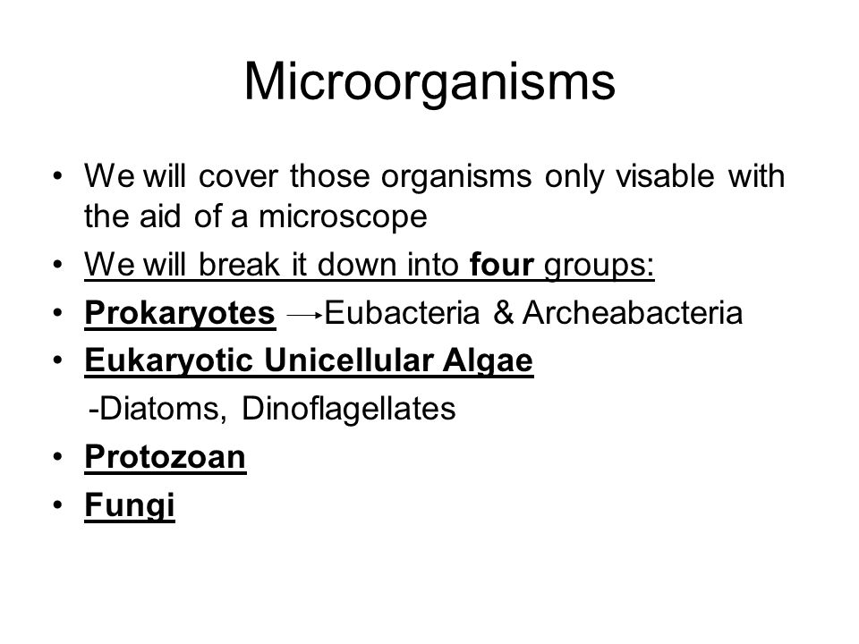 Microorganisms We will cover those organisms only visable with the aid of a microscope We will break it down into four groups: Prokaryotes Eubacteria & Archeabacteria Eukaryotic Unicellular Algae -Diatoms, Dinoflagellates Protozoan Fungi