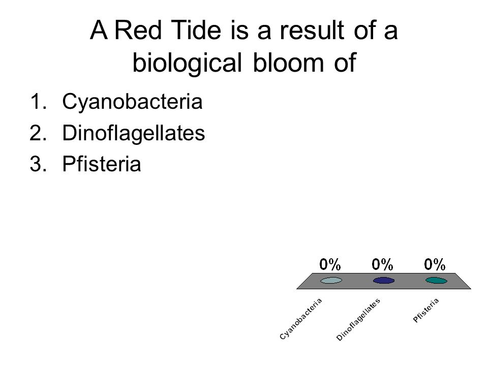 A Red Tide is a result of a biological bloom of 1.Cyanobacteria 2.Dinoflagellates 3.Pfisteria