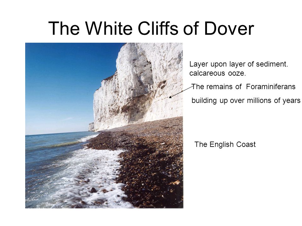 The White Cliffs of Dover Layer upon layer of sediment.
