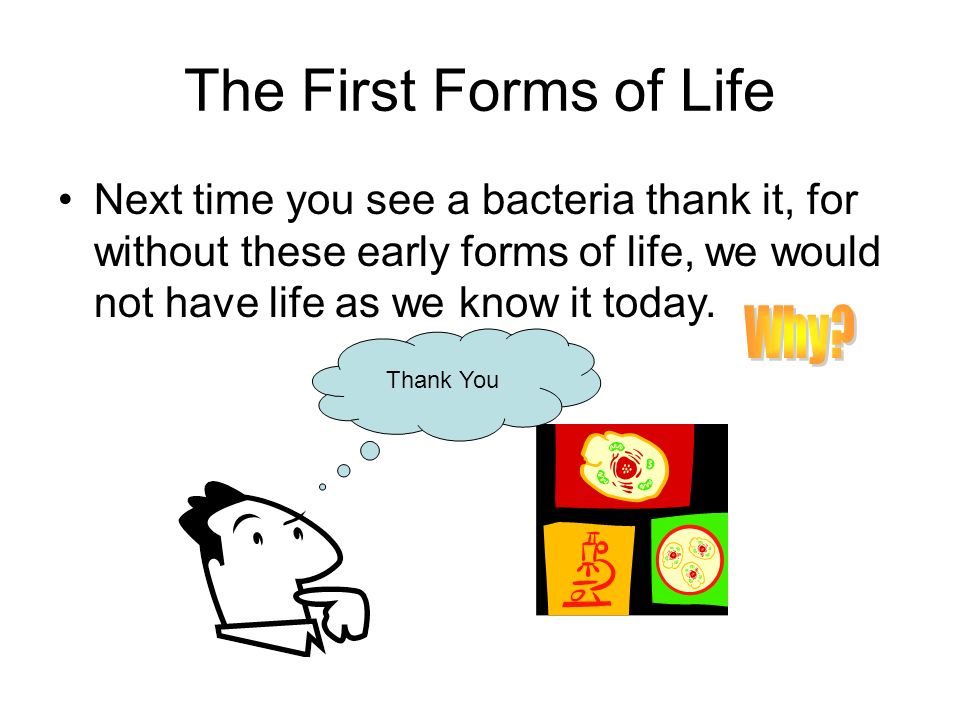 The First Forms of Life Next time you see a bacteria thank it, for without these early forms of life, we would not have life as we know it today.