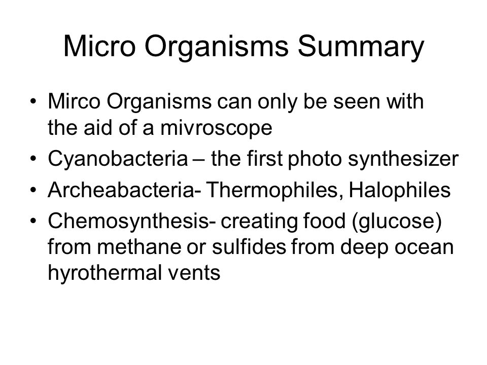 Micro Organisms Summary Mirco Organisms can only be seen with the aid of a mivroscope Cyanobacteria – the first photo synthesizer Archeabacteria- Thermophiles, Halophiles Chemosynthesis- creating food (glucose) from methane or sulfides from deep ocean hyrothermal vents