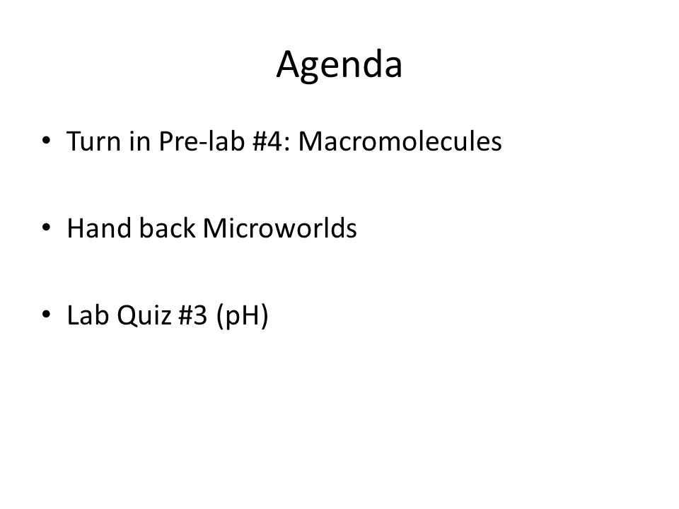 agenda turn in pre lab 4 macromolecules hand back 4 macromolecules