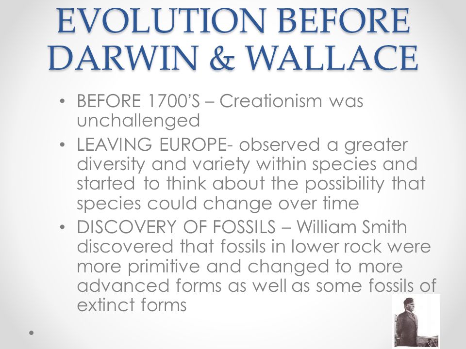 Before Darwin Theory Of Evolution