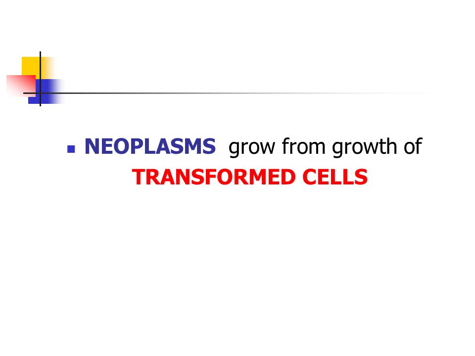 NEOPLASMS grow from growth of TRANSFORMED CELLS