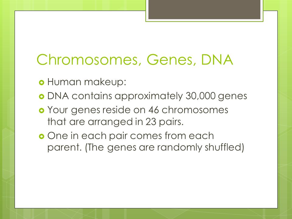 Chromosomes, Genes, DNA  Human makeup:  DNA contains approximately 30,000 genes  Your genes reside on 46 chromosomes that are arranged in 23 pairs.