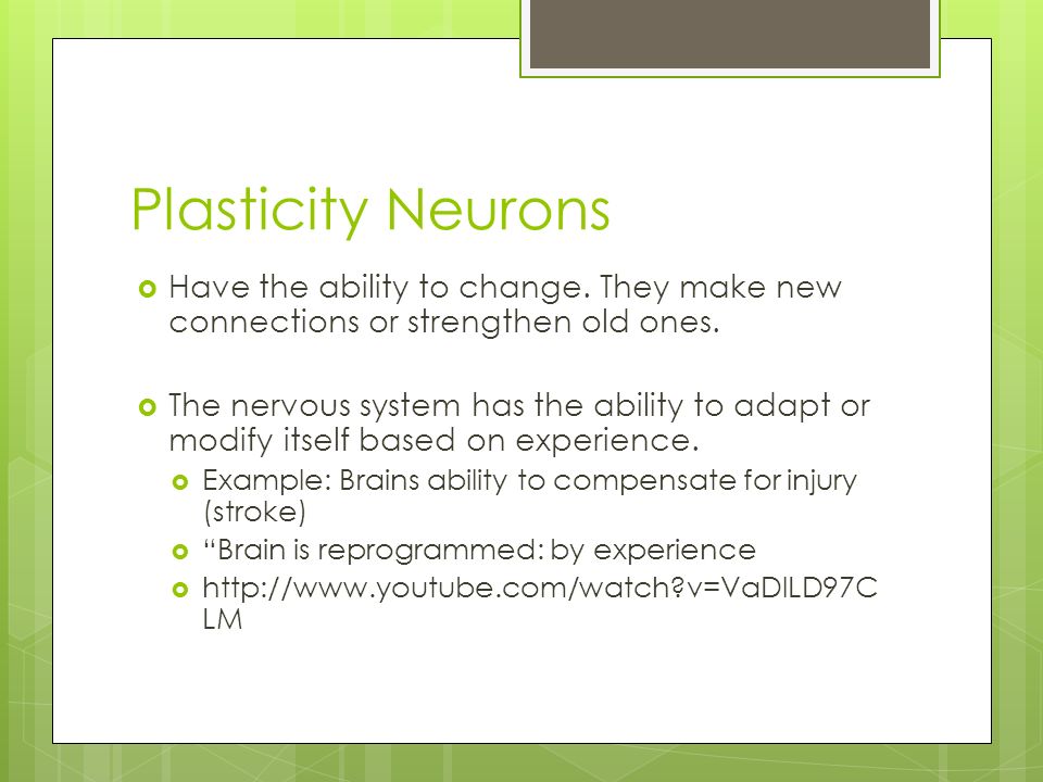 Plasticity Neurons  Have the ability to change. They make new connections or strengthen old ones.
