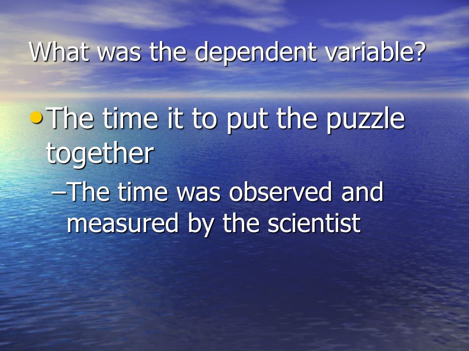 What was the independent variable.