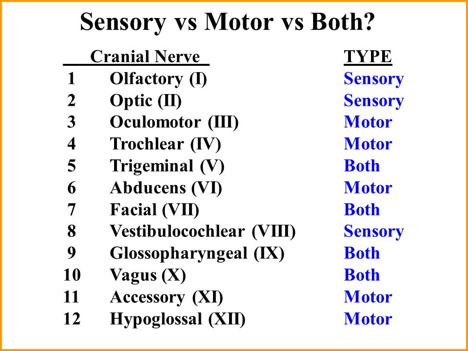 Introduction to cranial nerve summary regions supplied by sensory