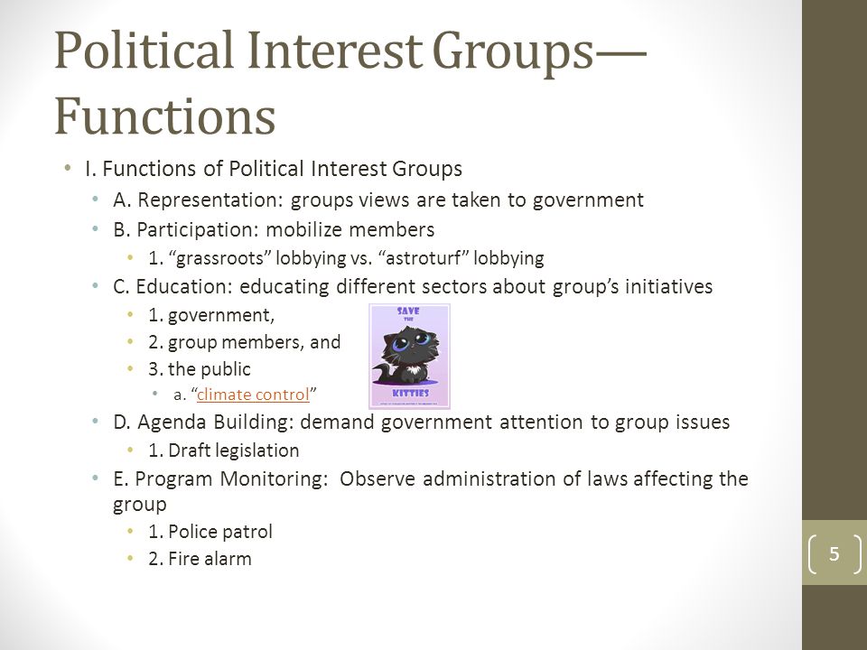 Political Interest Groups— Functions I. Functions of Political Interest Groups A.