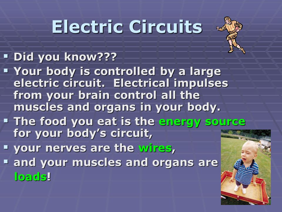  Did you know .  Your body is controlled by a large electric circuit.