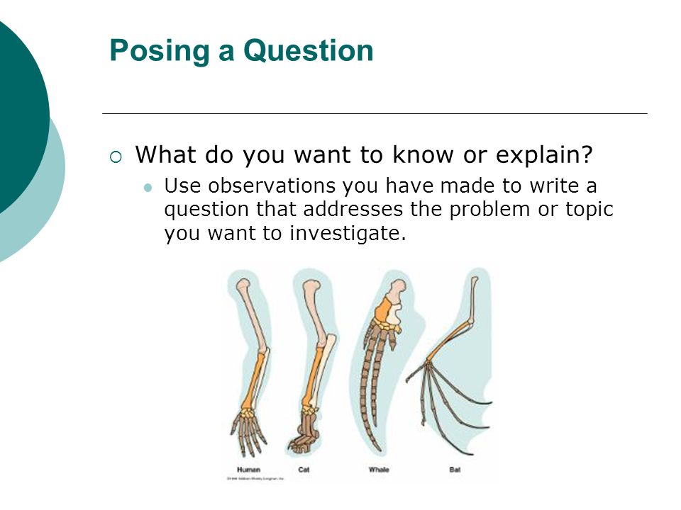 Posing a Question  What do you want to know or explain.