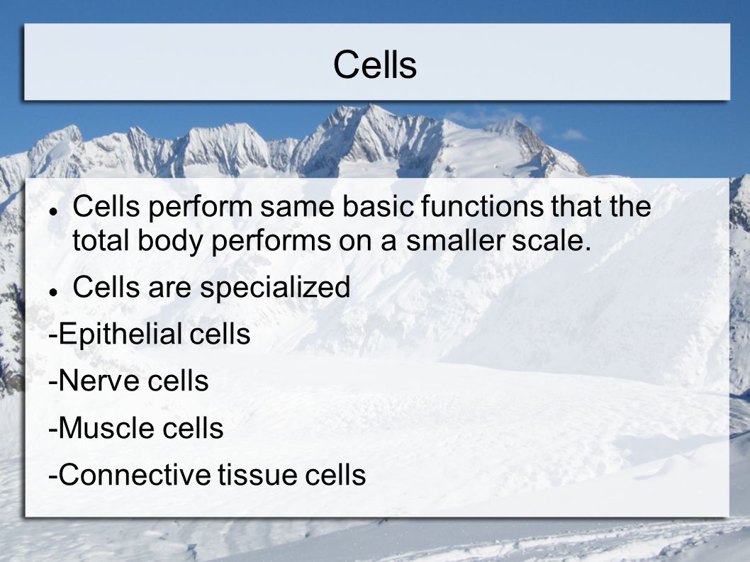 Cells Cells perform same basic functions that the total body performs on a smaller scale.