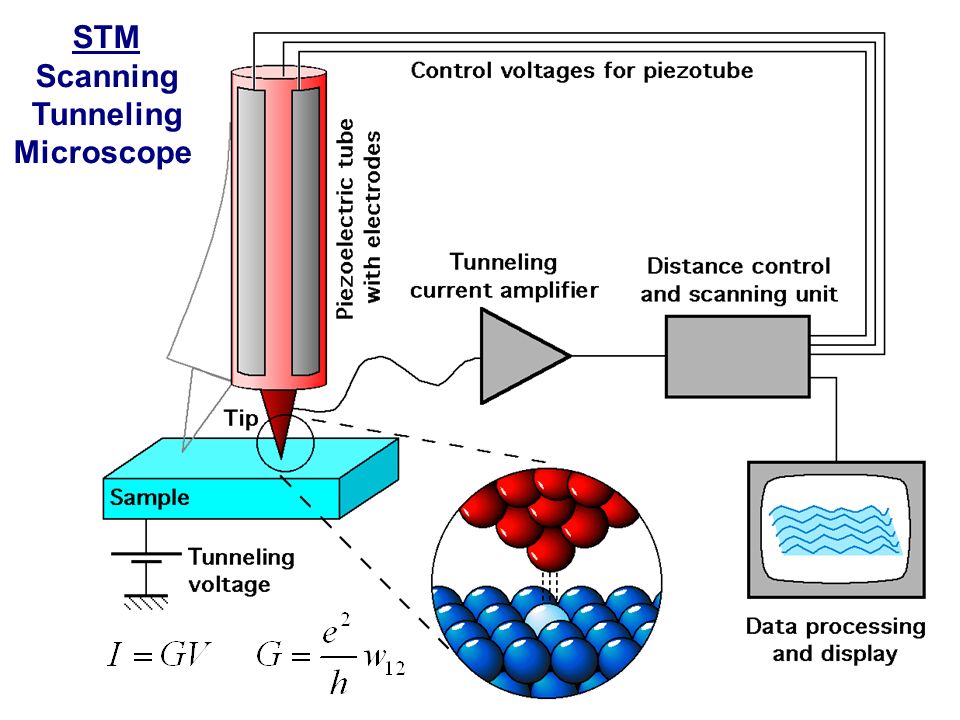 Lectures 24: Scanning Tunneling Microscopy w 12 =1 w 12 ~exp(-k * d ...