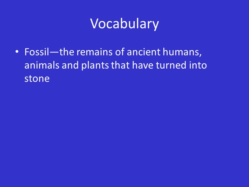Vocabulary Fossil—the remains of ancient humans, animals and plants that have turned into stone