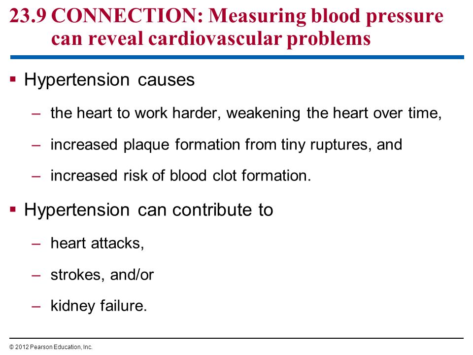 23.9 CONNECTION: Measuring blood pressure can reveal cardiovascular problems  Hypertension causes –the heart to work harder, weakening the heart over time, –increased plaque formation from tiny ruptures, and –increased risk of blood clot formation.