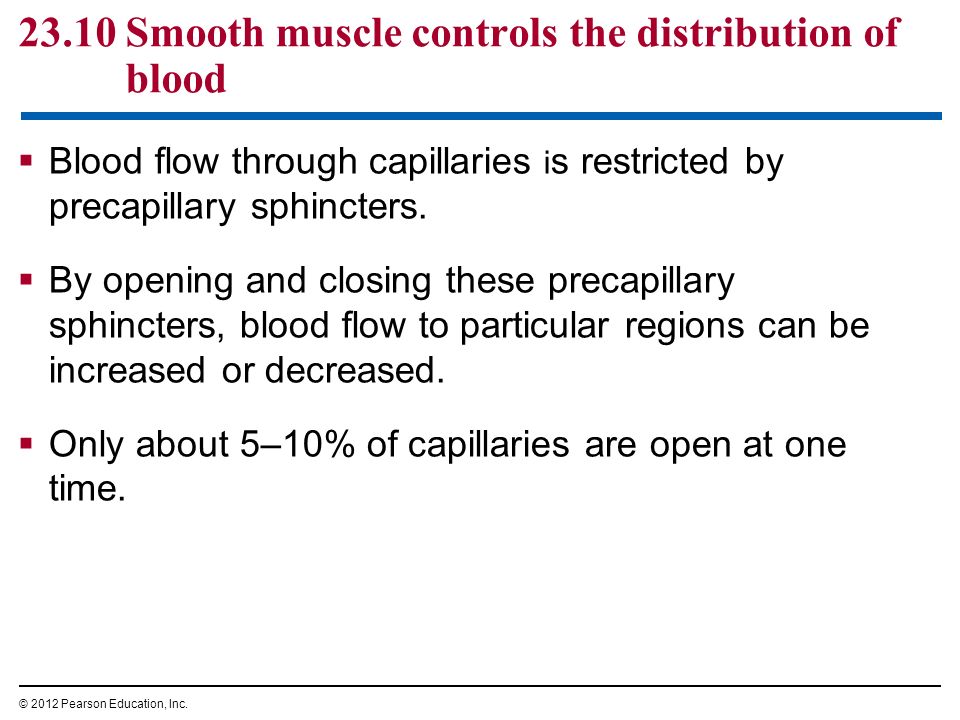 23.10 Smooth muscle controls the distribution of blood  Blood flow through capillaries i s restricted by precapillary sphincters.