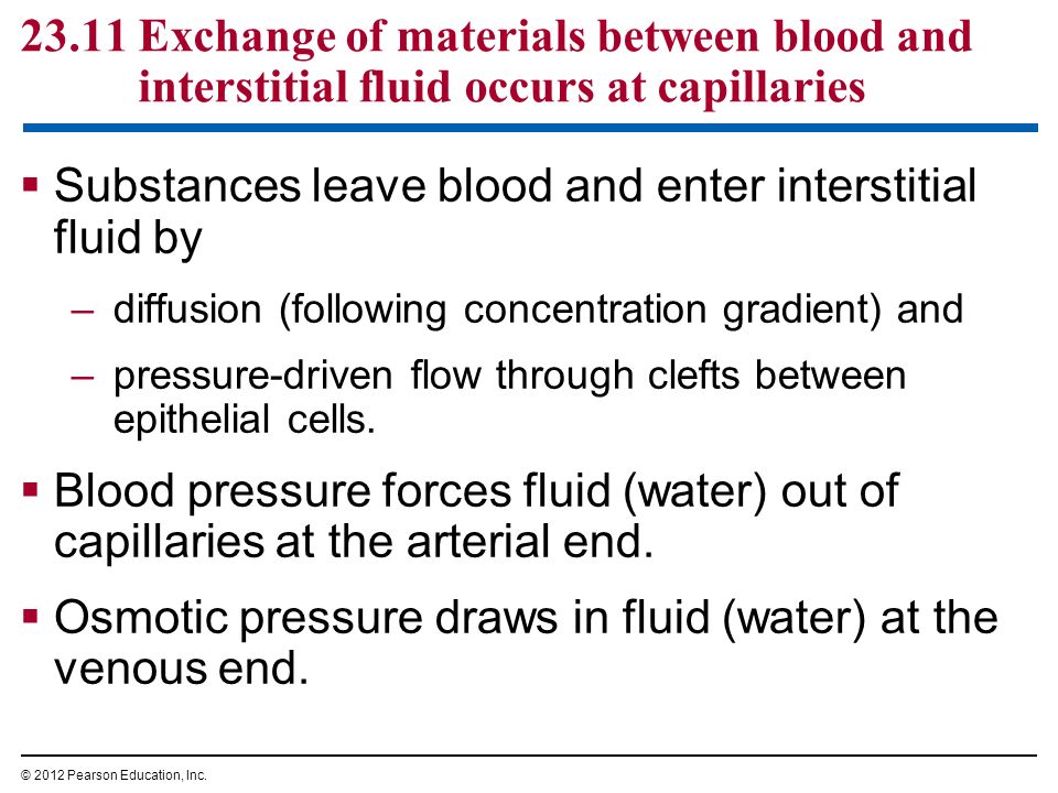23.11 Exchange of materials between blood and interstitial fluid occurs at capillaries  Substances leave blood and enter interstitial fluid by –diffusion (following concentration gradient) and –pressure-driven flow through clefts between epithelial cells.
