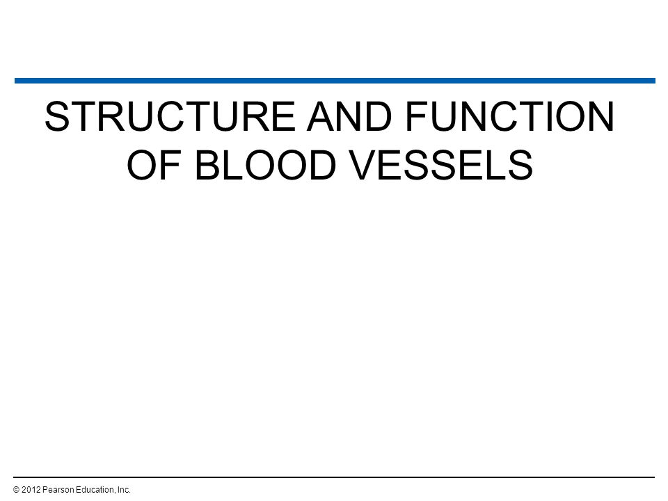 STRUCTURE AND FUNCTION OF BLOOD VESSELS © 2012 Pearson Education, Inc.
