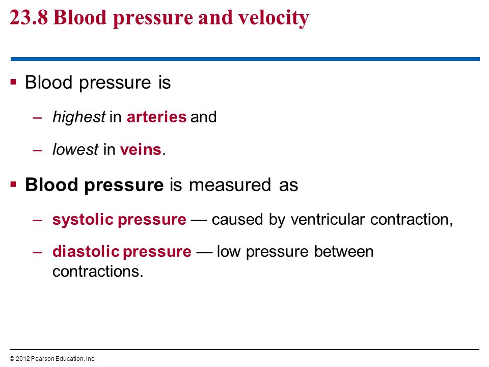 23.8 Blood pressure and velocity  Blood pressure is –highest in arteries and –lowest in veins.
