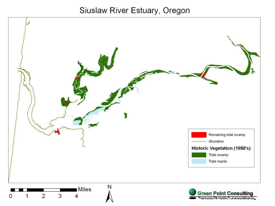 Siuslaw River Tide Chart