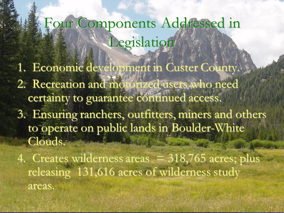 Four Components Addressed in Legislation 1. Economic development in Custer County.