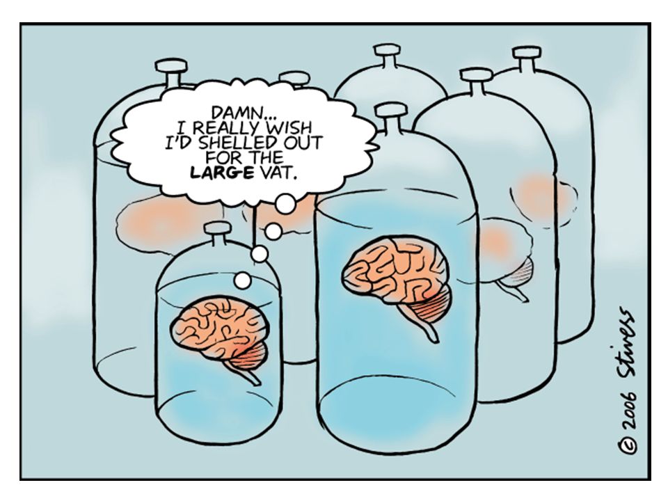 descartes brain in a vat