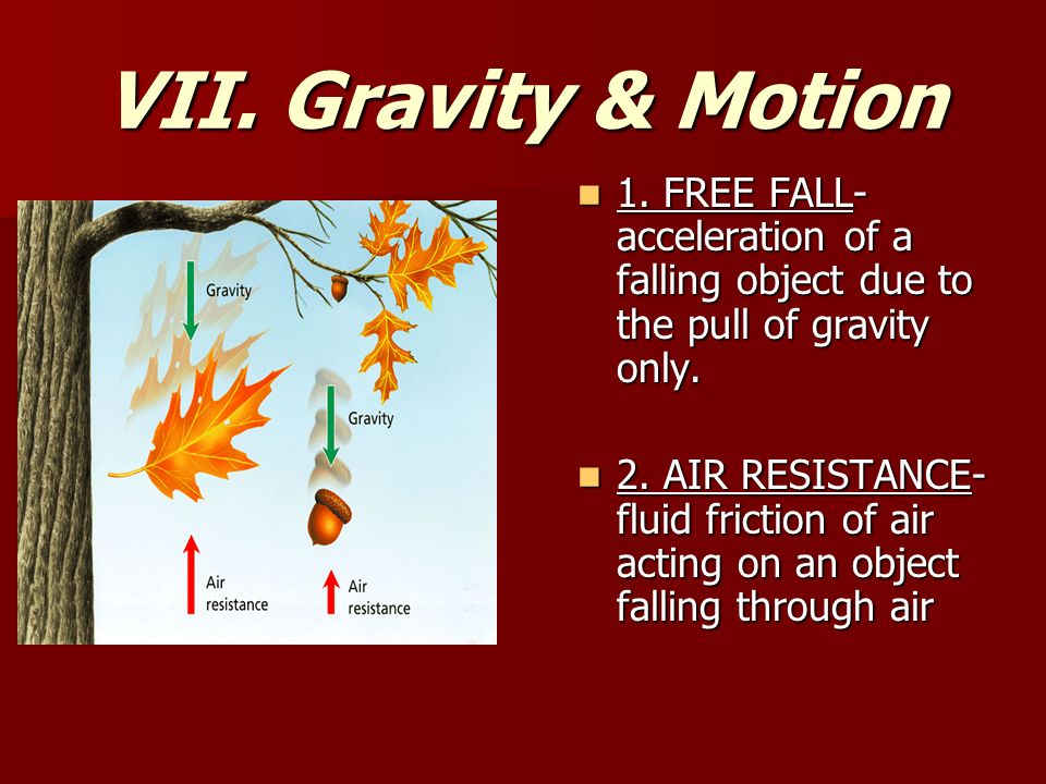 VII. Gravity & Motion 1.