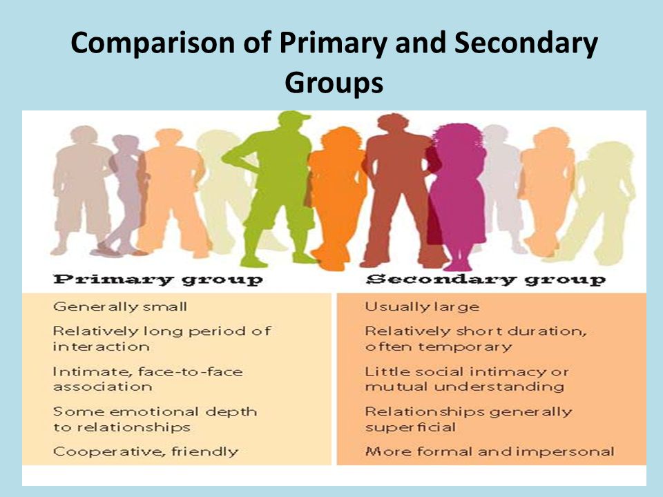 primary and secondary groups