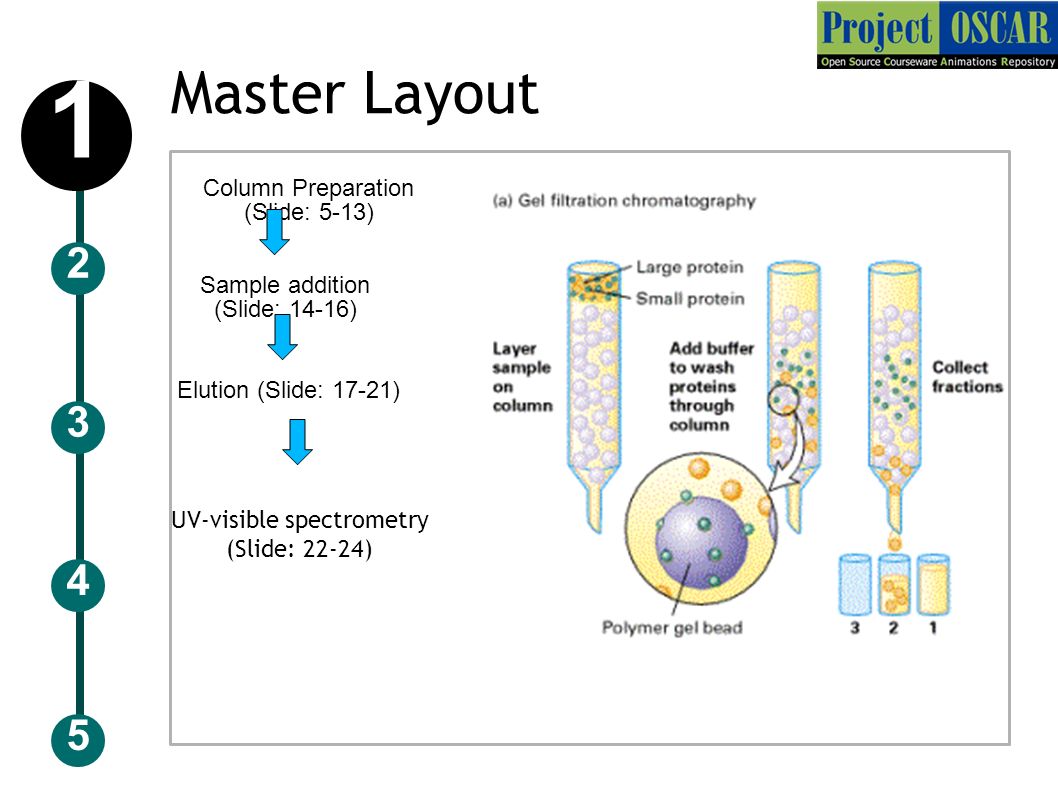 Gel Filtration Chromatography The method mostly involves the separation of  the proteins based on its molecular size. This method is also known as  Size. - ppt download