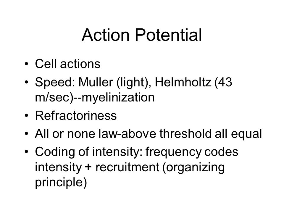 Action Potential Cell actions Speed: Muller (light), Helmholtz (43 m/sec)--myelinization Refractoriness All or none law-above threshold all equal Coding of intensity: frequency codes intensity + recruitment (organizing principle)