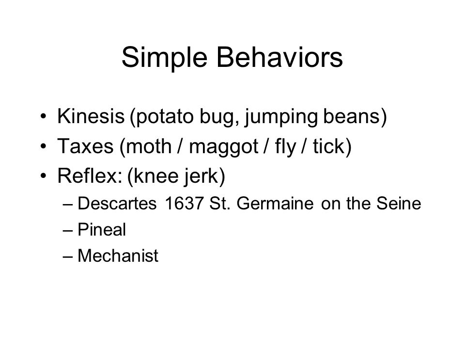 Simple Behaviors Kinesis (potato bug, jumping beans) Taxes (moth / maggot / fly / tick) Reflex: (knee jerk) –Descartes 1637 St.