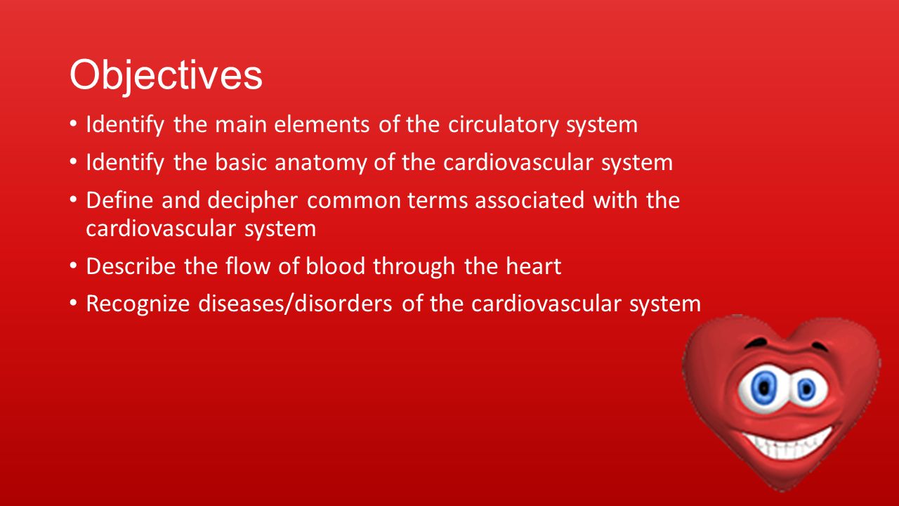Objectives Identify the main elements of the circulatory system Identify the basic anatomy of the cardiovascular system Define and decipher common terms associated with the cardiovascular system Describe the flow of blood through the heart Recognize diseases/disorders of the cardiovascular system