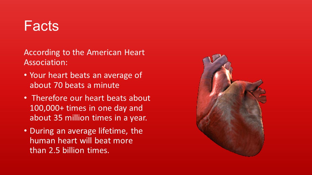The Heart The Cardiovascular System Principles of Health Science. - ppt  download