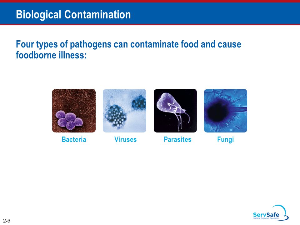 You Can Prevent Contamination Objectives Biological Chemical And Physical Contaminants And How To Prevent Them How To Prevent The Deliberate Contamination Ppt Download