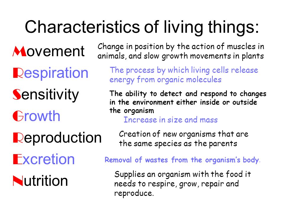 Characteristic feature. Characteristics of Living Organisms. Characteristics of Living things. Seven characteristics of Living things. Characteristic feature of Living Organisms.