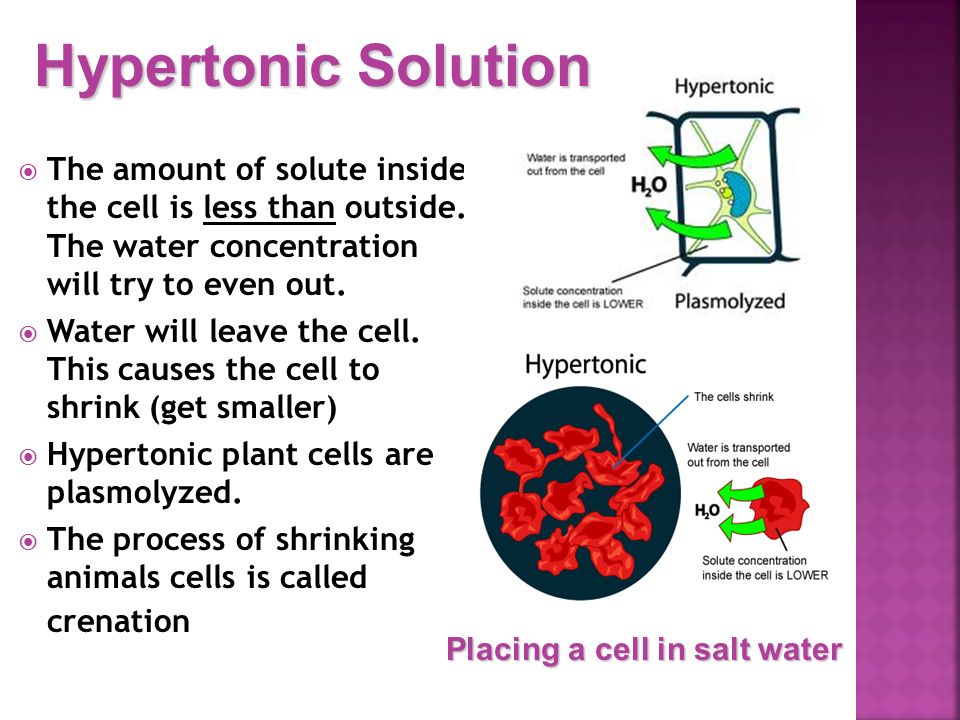 tonicity is a measure of the osmotic pressure as defined by hypertonic cell