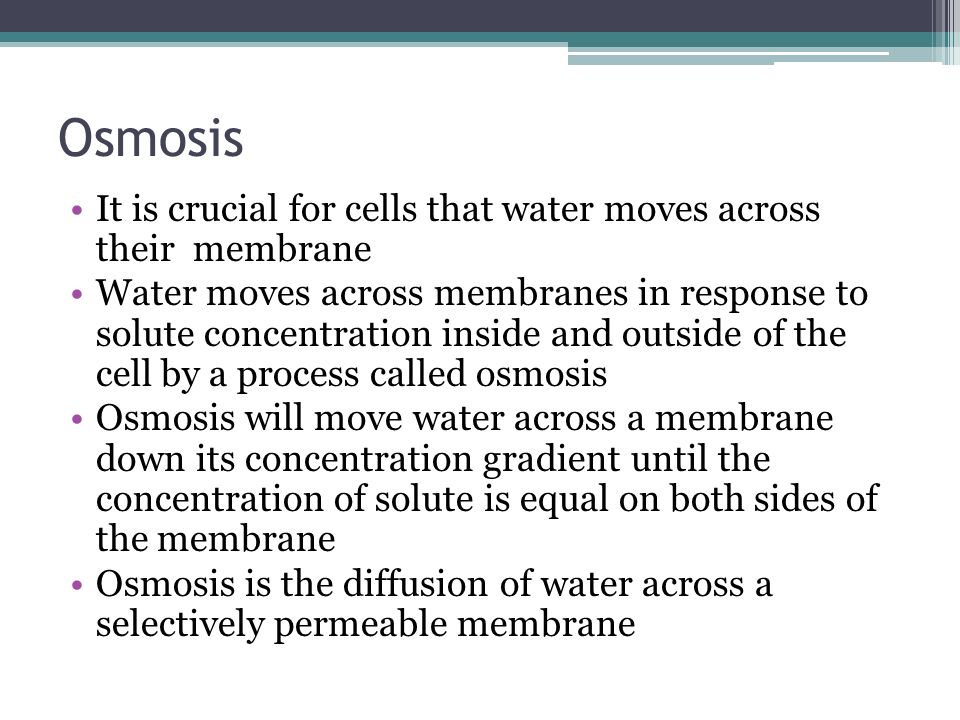 Osmosis It is crucial for cells that water moves across their membrane Water moves across membranes in response to solute concentration inside and outside of the cell by a process called osmosis Osmosis will move water across a membrane down its concentration gradient until the concentration of solute is equal on both sides of the membrane Osmosis is the diffusion of water across a selectively permeable membrane