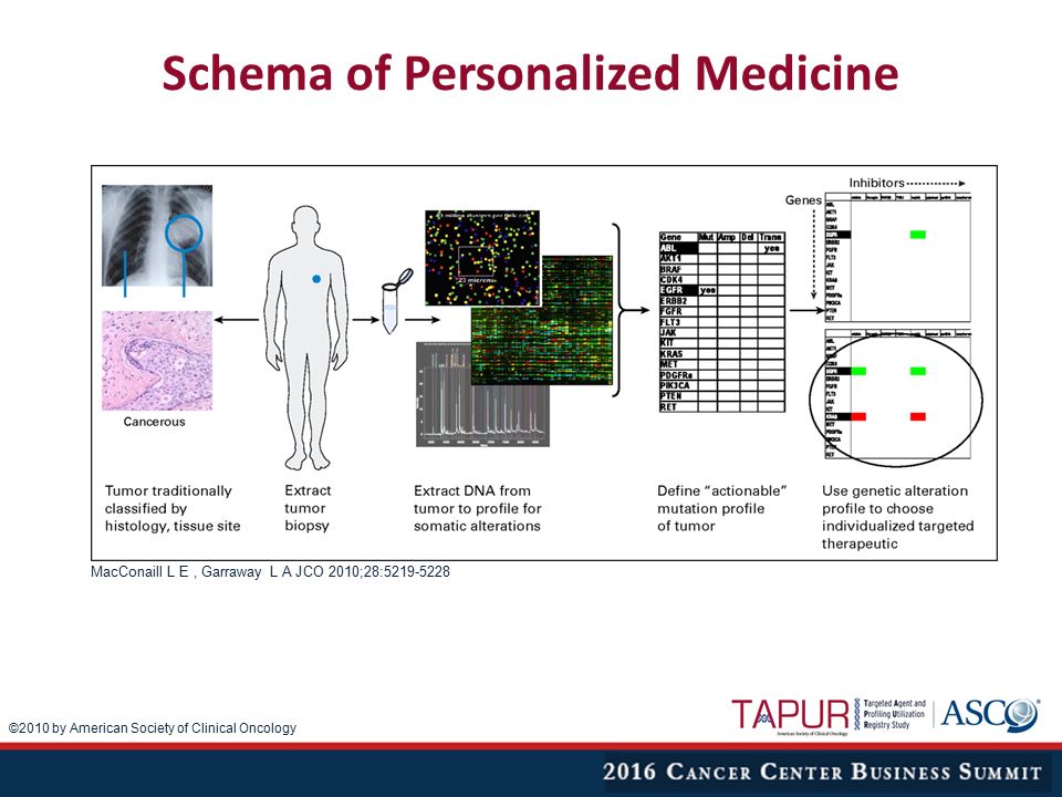 Schema of Personalized Medicine MacConaill L E, Garraway L A JCO 2010;28: ©2010 by American Society of Clinical Oncology