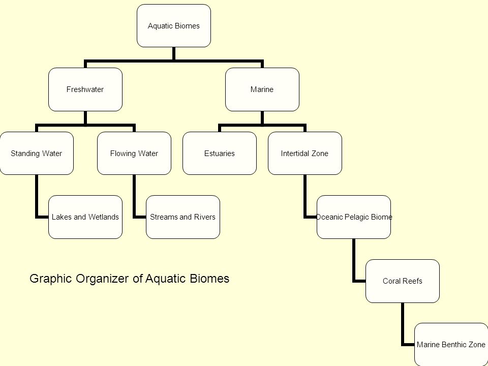 Chapter 6 What Is A Biome Objectives Describe Why Vegetation Is