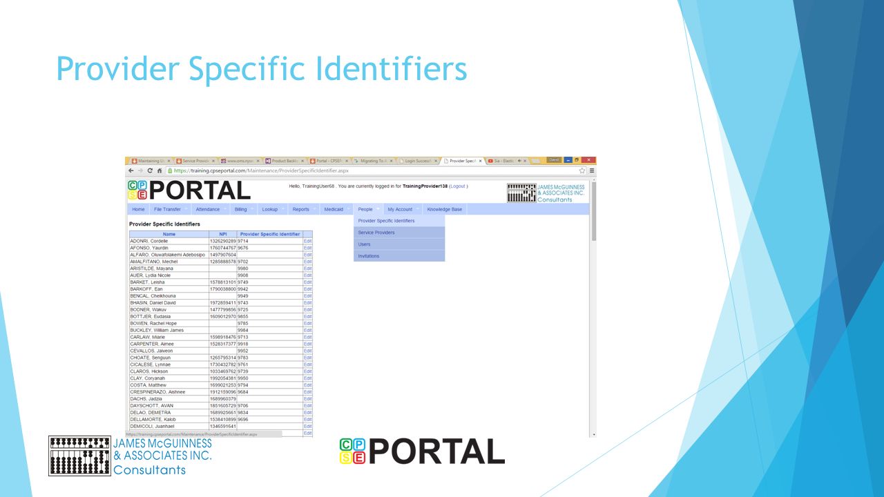 Cpse Portal And Medicaid Processing Overview For Providers Ppt