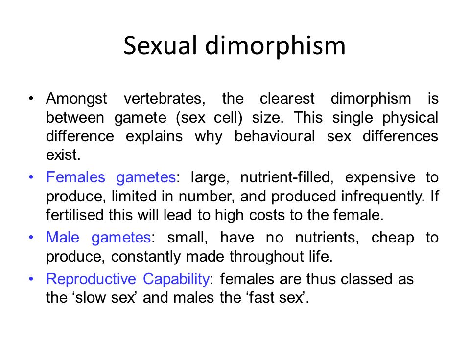 Sexual dimorphism Amongst vertebrates, the clearest dimorphism is between gamete (sex cell) size.