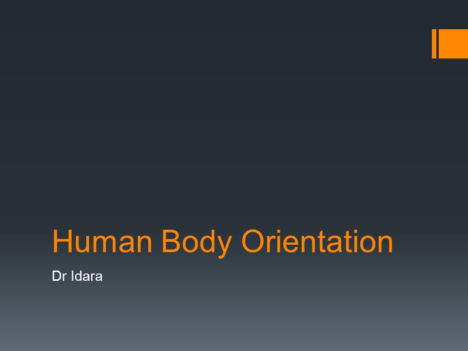 1 human body orientation dr idara