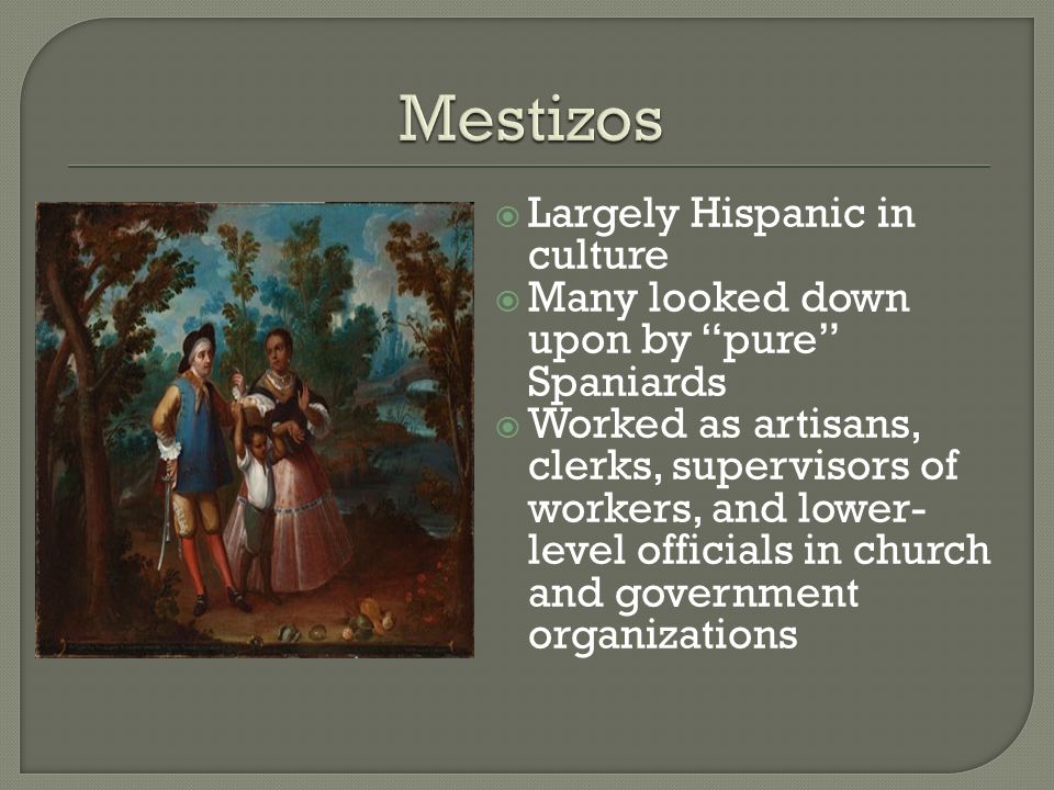  Largely Hispanic in culture  Many looked down upon by pure Spaniards  Worked as artisans, clerks, supervisors of workers, and lower- level officials in church and government organizations